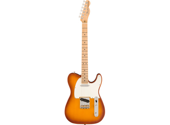 Fender American Performer Telecaster Maple Fingerboard Honey Burst Fender American Performer Telecaster Maple Fingerboard Honey Burst